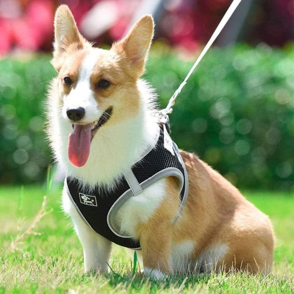 dog reflective leash harness vest type adjustable soft breathable dog mesh vest safety harness pet chest strap
dog reflective leash harness vest type adjustable soft breathable dog mesh vest safety harness pet chest strap