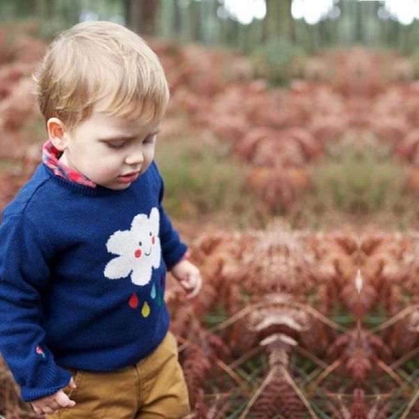 2021 new sweater knitted cotton rain cloud mushroom soft wool boys clothes winter baby girls clothing bobo full of grain kids coat 8ljf, Blue
2021 new sweater knitted cotton rain cloud mushroom soft wool boys clothes winter baby girls clothing bobo full of grain kids coat 8ljf, Blue