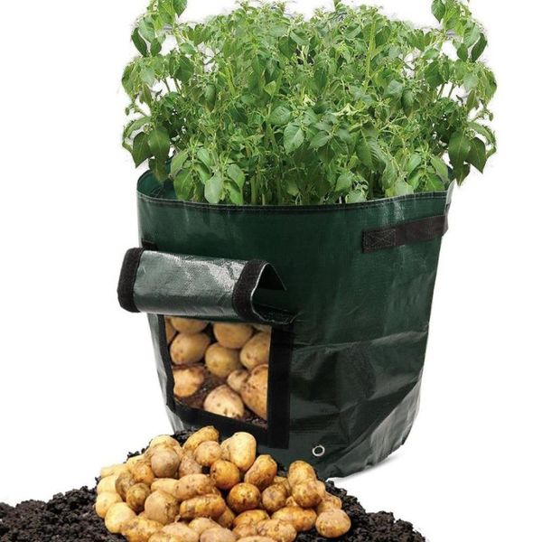 2pc diy potato grow planter pe cloth planting container bag thicken garden pot garden tool vegetable jardineria grow bag
2pc diy potato grow planter pe cloth planting container bag thicken garden pot garden tool vegetable jardineria grow bag