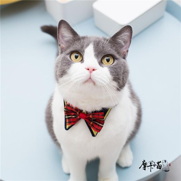 cat costumes pet dog cute college style uniform fake bow tie bell collar adjustable decoration
cat costumes pet dog cute college style uniform fake bow tie bell collar adjustable decoration