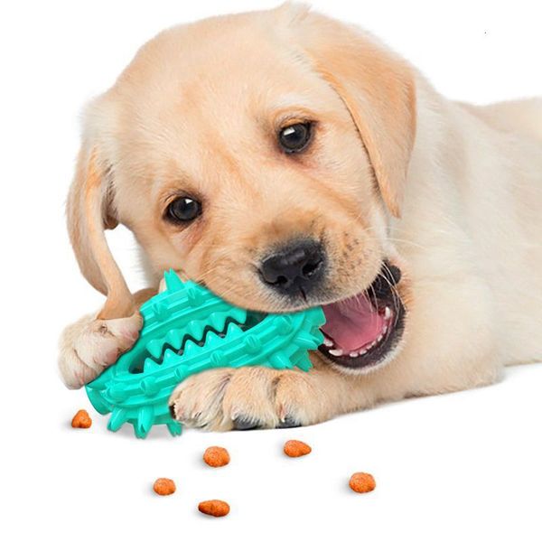 dog toy pet supplies s cactus toothbrush molar stick missing food ball rubber chewing
dog toy pet supplies s cactus toothbrush molar stick missing food ball rubber chewing