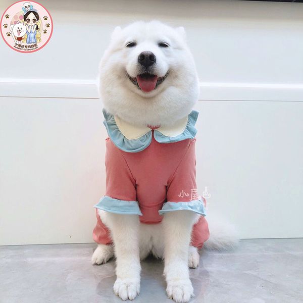 small and medium-sized dog lapel flounce four foot anti hair falling protection hip joint cloth
small and medium-sized dog lapel flounce four foot anti hair falling protection hip joint cloth