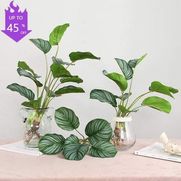 decorative flowers & wreaths 1 pcs product simulation arrowroot green apple leaves nordic home decoration plants garden
decorative flowers & wreaths 1 pcs product simulation arrowroot green apple leaves nordic home decoration plants garden
