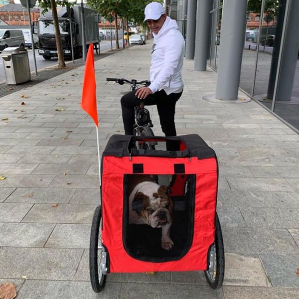 foldable pet bike trailer & jogging stroller cargo trolley storage cart dog bike trailer carrier mount
foldable pet bike trailer & jogging stroller cargo trolley storage cart dog bike trailer carrier mount