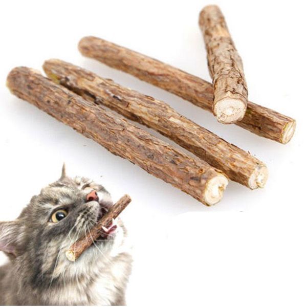 cat toys natural matatabi actinidia fruit pet molar toothpaste stick cleaning teeth sticks supplies
cat toys natural matatabi actinidia fruit pet molar toothpaste stick cleaning teeth sticks supplies