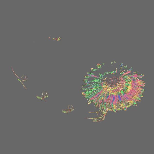 gift wrap round metal folding rhinestone flower handbag bag purse table hook hanger holder
gift wrap round metal folding rhinestone flower handbag bag purse table hook hanger holder