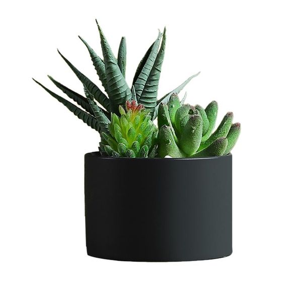 decorative flowers & wreaths gift yard outdoor small artificial bonsai indoor party deskbedroom living room simulation plant office home
decorative flowers & wreaths gift yard outdoor small artificial bonsai indoor party deskbedroom living room simulation plant office home