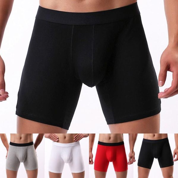 underpants mens cotton panties thong solid soft boxershorts breathable sports boxer briefs knickers jockstrap underwear, Black;white
underpants mens cotton panties thong solid soft boxershorts breathable sports boxer briefs knickers jockstrap underwear, Black;white