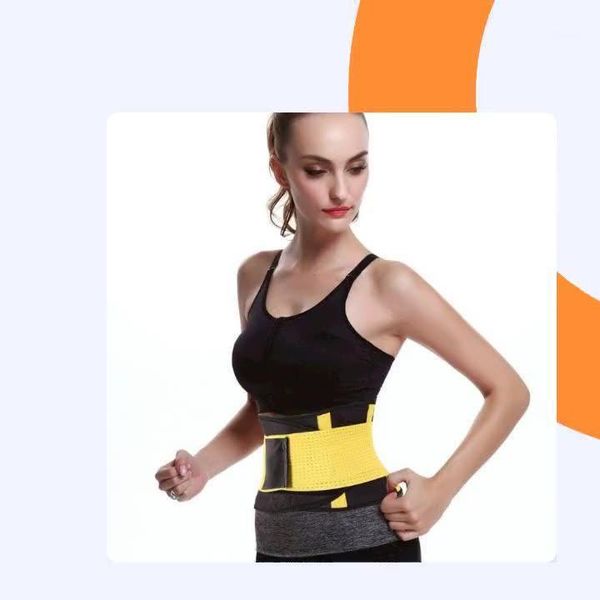 wholesale quality nylon body shaper for women sport girdle waist training corset bustiers & corsets, Black;white
wholesale quality nylon body shaper for women sport girdle waist training corset bustiers & corsets, Black;white
