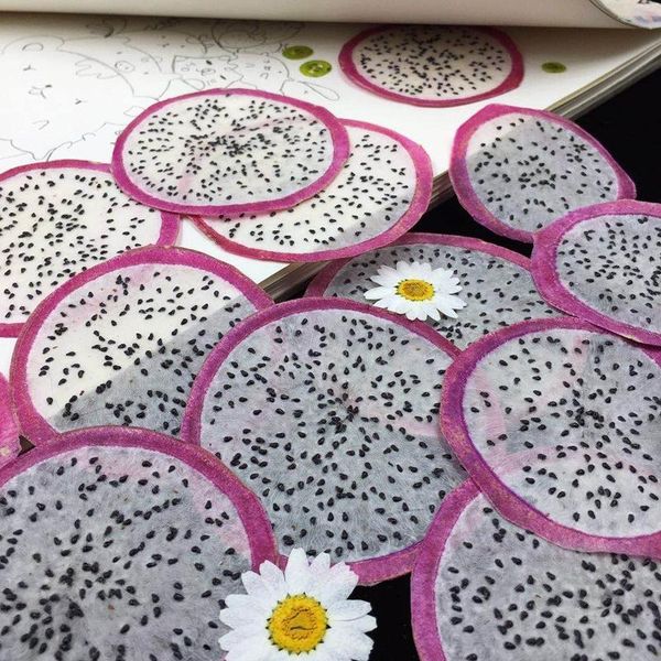 decorative flowers & wreaths 5pcs pressed dried pitaya slices fruit plant herbarium for uv epoxy resin jewelry postcard card phone case book
decorative flowers & wreaths 5pcs pressed dried pitaya slices fruit plant herbarium for uv epoxy resin jewelry postcard card phone case book