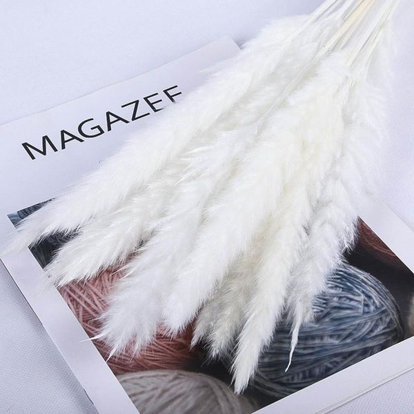 30pc pampas grass decor natural dried flowers plants wedding flowers dry flower bouquet fluffy lovely for holiday home deco
30pc pampas grass decor natural dried flowers plants wedding flowers dry flower bouquet fluffy lovely for holiday home deco