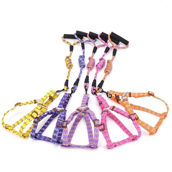 dog collars & leashes cat puppy collar pet dogs harness leash lead set for small outdoor sport harnesses and nylon supplies
dog collars & leashes cat puppy collar pet dogs harness leash lead set for small outdoor sport harnesses and nylon supplies