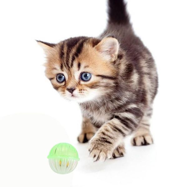 cat toys durable material pet interactive plastic bell ball toy scratch-resistant exercise playing multicolor set chew toys1
cat toys durable material pet interactive plastic bell ball toy scratch-resistant exercise playing multicolor set chew toys1