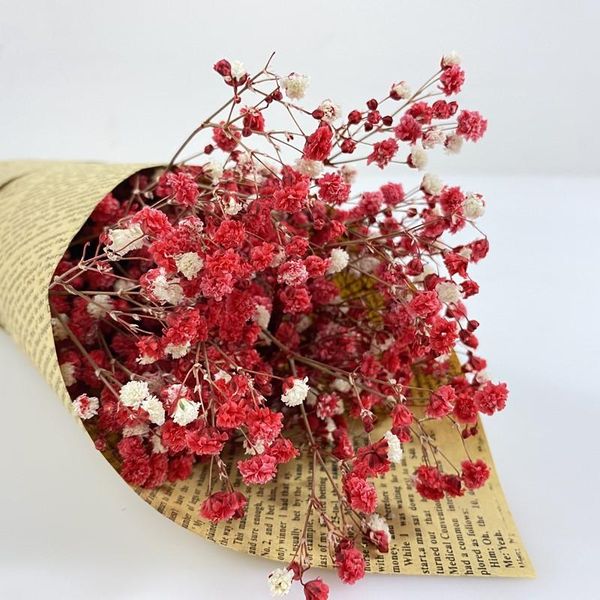 decorative flowers & wreaths gypsophila natural dried bouquet decoration diy craft gifts packing sky stars po props home decor preserve flor
decorative flowers & wreaths gypsophila natural dried bouquet decoration diy craft gifts packing sky stars po props home decor preserve flor