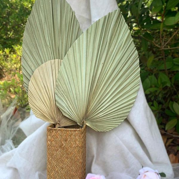 other home decor 20~30*60cm 1pcs dried natural plant palm leaves diy dry flowers fan leaf for party art wall hanging,wedding decoration
other home decor 20~30*60cm 1pcs dried natural plant palm leaves diy dry flowers fan leaf for party art wall hanging,wedding decoration