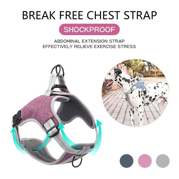 dog collars & leashes adjustable pet chest straps leash leads dogs reflective breathable mesh harness vest for puppy medium large supplies
dog collars & leashes adjustable pet chest straps leash leads dogs reflective breathable mesh harness vest for puppy medium large supplies
