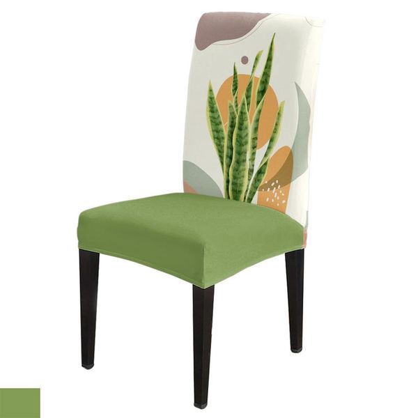 chair covers geometric tropical plant leaves dining room spandex elastic for wedding el banquet
chair covers geometric tropical plant leaves dining room spandex elastic for wedding el banquet