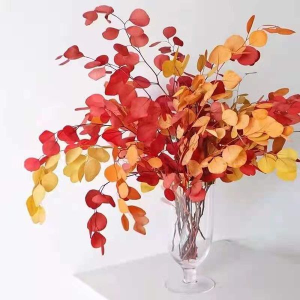 decorative flowers & wreaths dried natural fresh forever branches preserved round leaves apple eucalyptus for home decor wedding mariage
decorative flowers & wreaths dried natural fresh forever branches preserved round leaves apple eucalyptus for home decor wedding mariage
