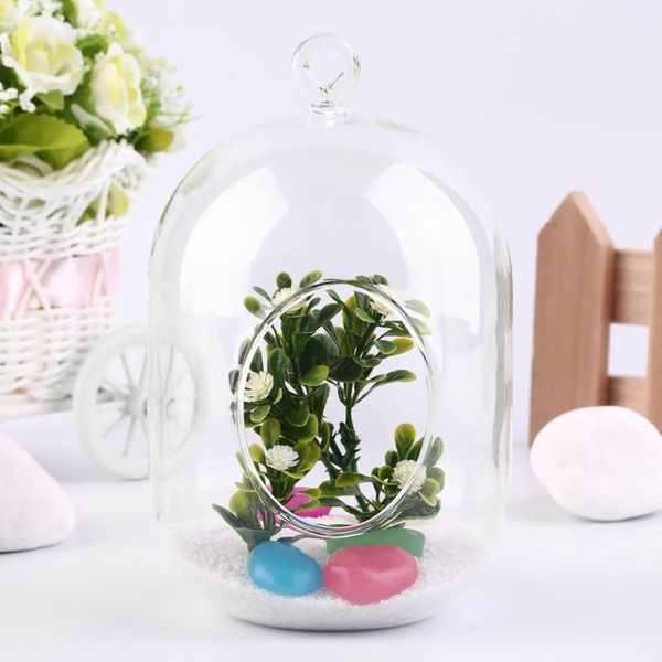 vases 2021 arrival home use glass vase hanging terrarium succulents plant landscape decor gift worldwide store
vases 2021 arrival home use glass vase hanging terrarium succulents plant landscape decor gift worldwide store
