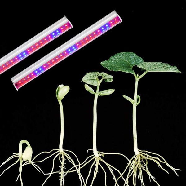 practical led grow light deskplant flower grow full spectrum lamp tubes for household planting growing supply
practical led grow light deskplant flower grow full spectrum lamp tubes for household planting growing supply