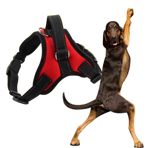 dog collars & leashes adjustable harness vest breathable mesh pet dogs leash outdoor travel safty chest strap or small medium supplies
dog collars & leashes adjustable harness vest breathable mesh pet dogs leash outdoor travel safty chest strap or small medium supplies