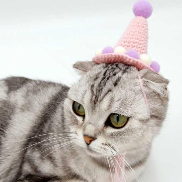 cat carriers,crates & houses woolen crochet decoration hat funny dog accessories creative sweet pet costume headdress for small dogs
cat carriers,crates & houses woolen crochet decoration hat funny dog accessories creative sweet pet costume headdress for small dogs