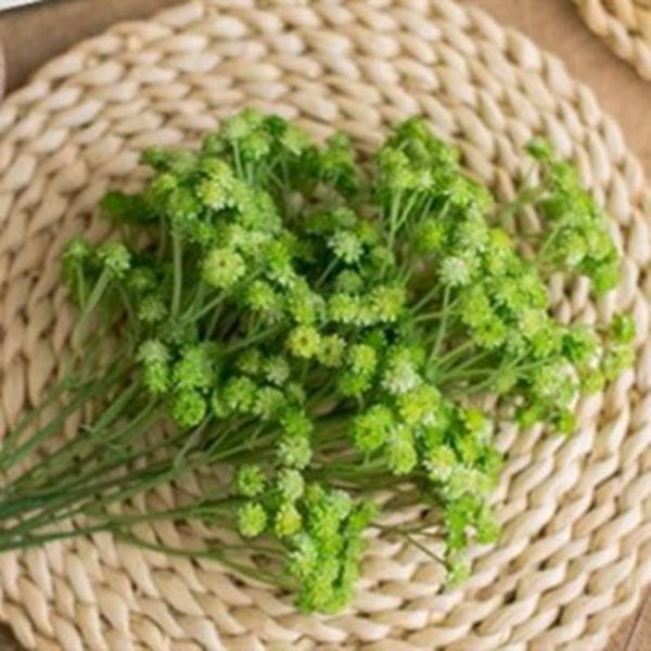 decorative flowers & wreaths 1bunch full sky star simulation dried plants bouquets bridal wedding decoration artificial flower pography prop
decorative flowers & wreaths 1bunch full sky star simulation dried plants bouquets bridal wedding decoration artificial flower pography prop