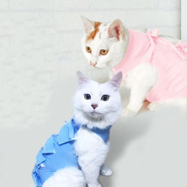 pet cat clothes dress cat retrieve after surgerywound anti-mite sterilization pet supplies recovery suit
