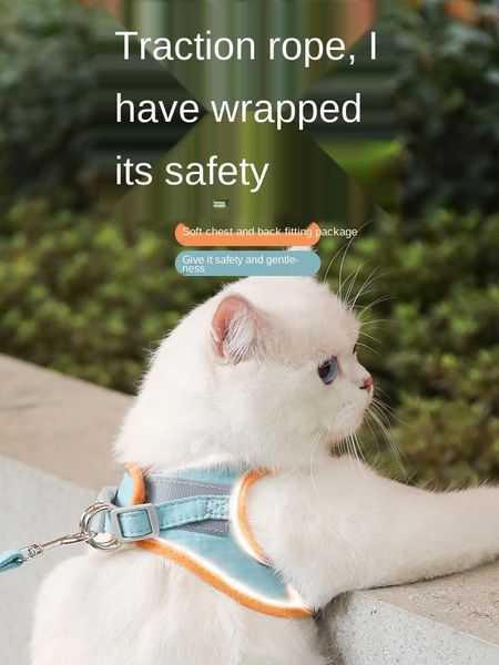cat collars & leads pet pulling rope vest-style chest strap outing exclusive for cats anti breaking loose slip bolt chain
cat collars & leads pet pulling rope vest-style chest strap outing exclusive for cats anti breaking loose slip bolt chain