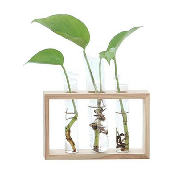 diy planter transparent vase transparent vase shape handcrafted glass test tube beautiful office creative
diy planter transparent vase transparent vase shape handcrafted glass test tube beautiful office creative