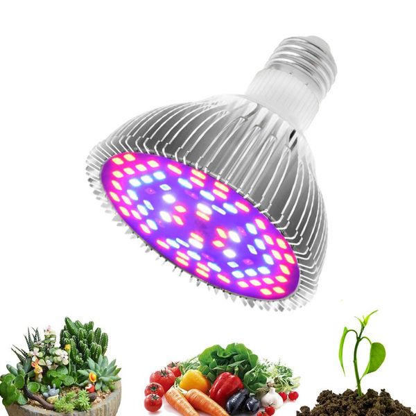grow lights led light full spectrum 5w 7w 30w 50w 80w e27 growing bulb for indoor hydroponics flowers plants growth lamp
grow lights led light full spectrum 5w 7w 30w 50w 80w e27 growing bulb for indoor hydroponics flowers plants growth lamp