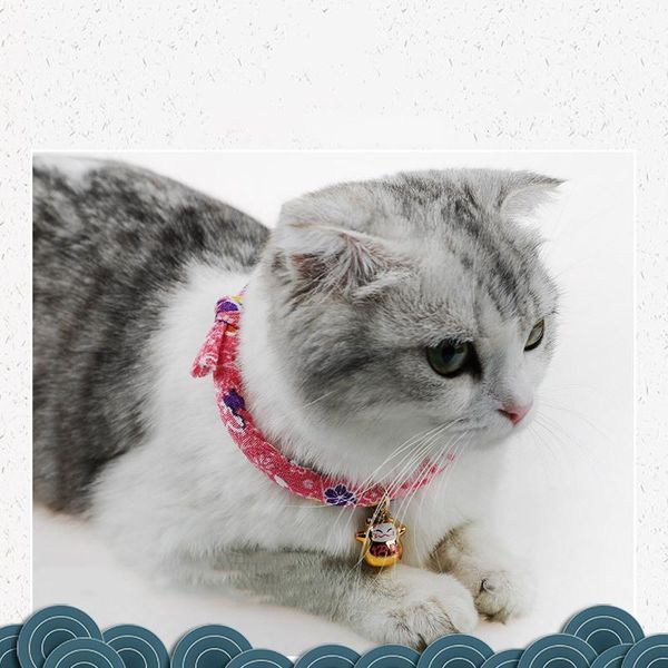 cat collars & leads saim 2pcs adjustable collar cats bell wind jewelry necklace pet supplies japanese style cute j50863
cat collars & leads saim 2pcs adjustable collar cats bell wind jewelry necklace pet supplies japanese style cute j50863
