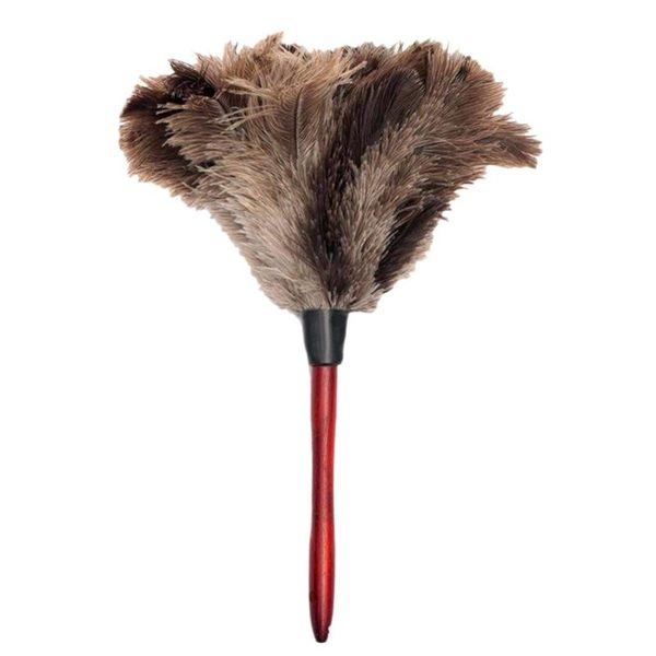 ostrich cleaning feather duster ostrich duster feather soft feathers from furniture to fan blades
ostrich cleaning feather duster ostrich duster feather soft feathers from furniture to fan blades