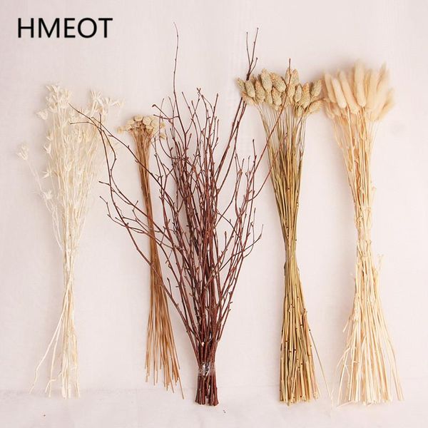 natural dried flower pampas grass setaria reed wedding eucalyptu wheat bouquet plants diy craft scrapbook p props home decor
natural dried flower pampas grass setaria reed wedding eucalyptu wheat bouquet plants diy craft scrapbook p props home decor