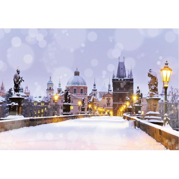 party decoration winter castle street lamp backdrop snow scene background wedding po pography studio props family holiday
party decoration winter castle street lamp backdrop snow scene background wedding po pography studio props family holiday