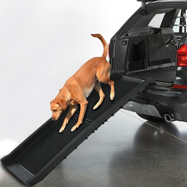 dog apparel folding portable lightweight and cat ramp car pet stairs premium quality couch great for cars go to bed
dog apparel folding portable lightweight and cat ramp car pet stairs premium quality couch great for cars go to bed