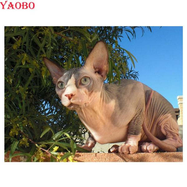 diamond painting diy embroidery sphynx cat paintings rhinestones handcraft mosaic cute pet beadwork 5d cross-stitch kits
diamond painting diy embroidery sphynx cat paintings rhinestones handcraft mosaic cute pet beadwork 5d cross-stitch kits