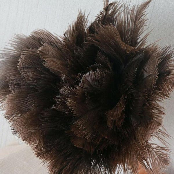 car sponge anti-static ostrich feather brush soft cleaning wooden dust tool duster handle u3b0
car sponge anti-static ostrich feather brush soft cleaning wooden dust tool duster handle u3b0