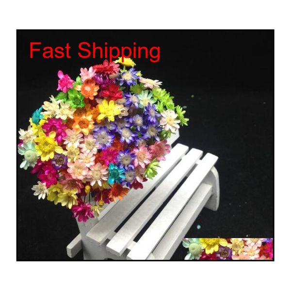 60pcs mixed color cute mini brazil little star real dried flower fit wedding decoration glass vials gla qyltel dh_seller2010
60pcs mixed color cute mini brazil little star real dried flower fit wedding decoration glass vials gla qyltel dh_seller2010