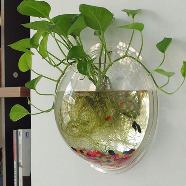 aquariums semicircular wall hanging glass plant flower vase hydroponic terrarium fish bowl tank aquarium home wedding decoration
aquariums semicircular wall hanging glass plant flower vase hydroponic terrarium fish bowl tank aquarium home wedding decoration