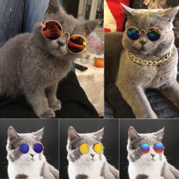 glasses cat sunglasses pet for small eye-wear cat pet products ps props accessories lovely selling dog products icuqg, White;black
glasses cat sunglasses pet for small eye-wear cat pet products ps props accessories lovely selling dog products icuqg, White;black