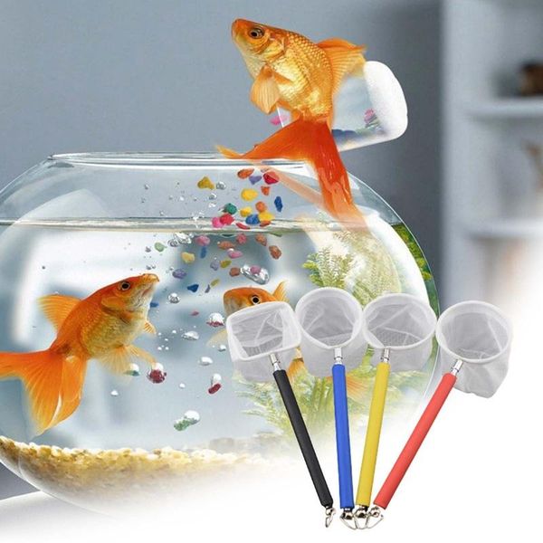 fishing accessories adjustable round 3d aquarium fish tank catch net stainless steel mini rod outdoor pocket shrimp nets
fishing accessories adjustable round 3d aquarium fish tank catch net stainless steel mini rod outdoor pocket shrimp nets