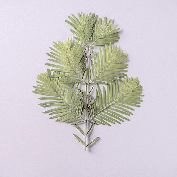 decorative flowers & wreaths 24pcs/pack pressed dried metasequoia necklace jewelry making craft embossing phone case bookmark postcard weddi
decorative flowers & wreaths 24pcs/pack pressed dried metasequoia necklace jewelry making craft embossing phone case bookmark postcard weddi