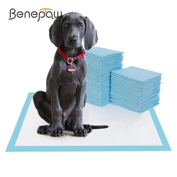 kennels & pens benepaw absorbent leakpuppy pads high-quality quick dry small medium large dog diaper pee pet training selling
kennels & pens benepaw absorbent leakpuppy pads high-quality quick dry small medium large dog diaper pee pet training selling