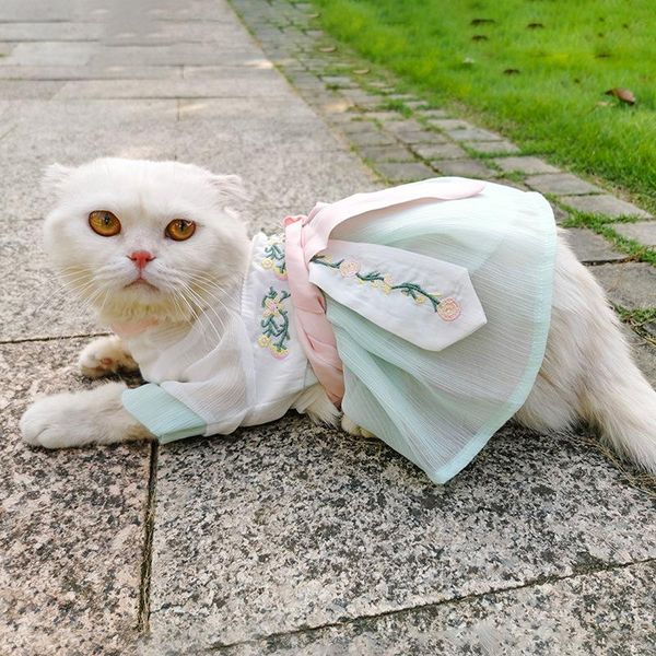 sixpenny 2021 cat hanfu pet antique princess dress dog dress bo mei than teddy bear cute thin skirt
sixpenny 2021 cat hanfu pet antique princess dress dog dress bo mei than teddy bear cute thin skirt