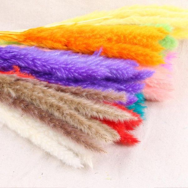 decorative flowers & wreaths reed natural dried wedding decoration pastoral style colorful colors small durable for home decor birthday gift
decorative flowers & wreaths reed natural dried wedding decoration pastoral style colorful colors small durable for home decor birthday gift