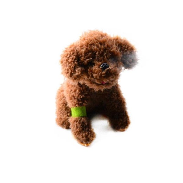 dog apparel non-woven fabric breathable tearing pet bandage puppy cat waterproof self-adhesive elastic accessories supplies
dog apparel non-woven fabric breathable tearing pet bandage puppy cat waterproof self-adhesive elastic accessories supplies