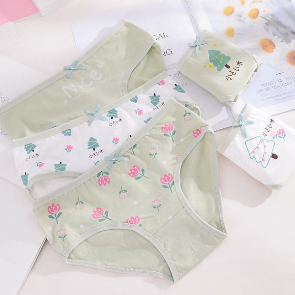 panties young girl underwear 5pc/lot cotton lovely lace low waist briefs student children green teenagers mix style, Camo
panties young girl underwear 5pc/lot cotton lovely lace low waist briefs student children green teenagers mix style, Camo