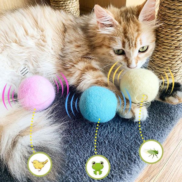 cat toys smart cats interactive ball catnip training toy pet squeaky supplies gravity touch sounding pets
cat toys smart cats interactive ball catnip training toy pet squeaky supplies gravity touch sounding pets