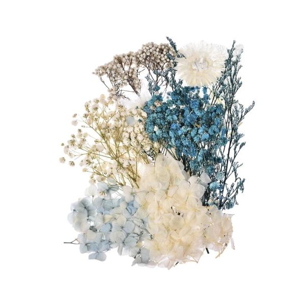 decorative flowers & wreaths dried leaves bulk pressed for diy candles greeting cards bookmark scrapbook po frame dutiful
decorative flowers & wreaths dried leaves bulk pressed for diy candles greeting cards bookmark scrapbook po frame dutiful